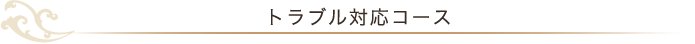 トラブル対応コース