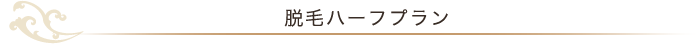 脱毛ハーフプラン