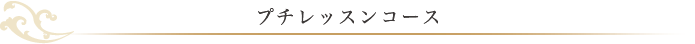 プチレッスンコース